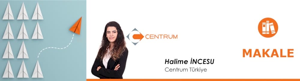 Pilot ve Uçuş Personelinin Ücretlerine İlişkin Gelir Vergisi İstisnası