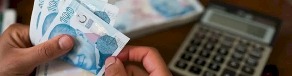 Çok Uluslu İşletmeler için Ülke Bazlı Raporlamaya İlişkin Bildirim Formunun Doldurulması Hakkında Hazırlanan Duyuru İnternet Vergi Dairesinde Yayımlanmıştır