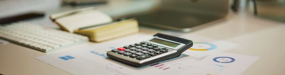 2024 Takvim Yılına İlişkin Yıllık Gelir Vergisi Beyannamelerinin Verilme ve Ödeme Süreleri Uzatılmıştır